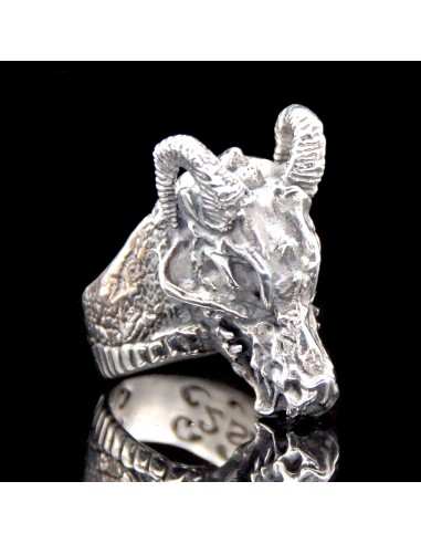 "The Dragon" Skull Ring acheter